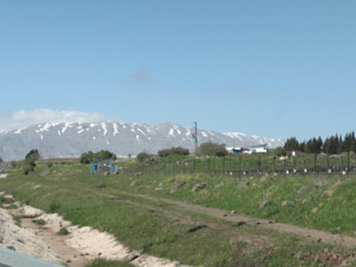יער האלונים Leilighet Ein Zivan Eksteriør bilde
