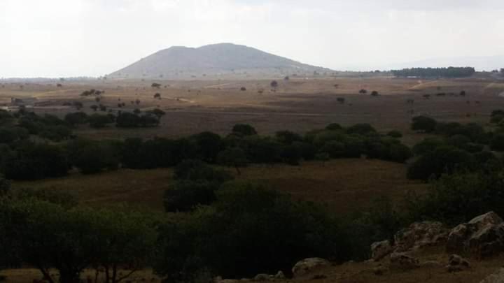 יער האלונים Leilighet Ein Zivan Eksteriør bilde
